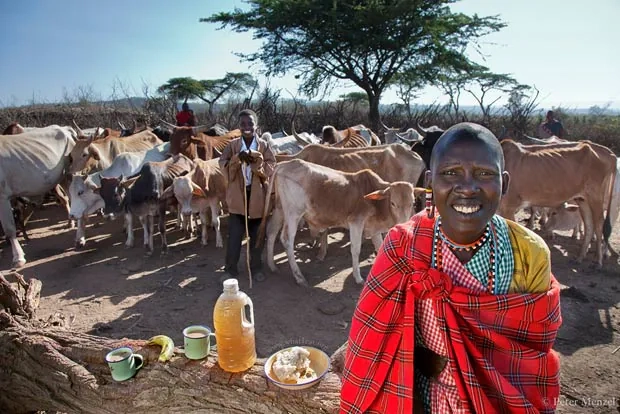 Noolkisaruni Tarakuai, the third of four wives of a Maasai chief with her day's worth of food outside her house in a Maasai village compound near Narok, Kenya. (From the book What I Eat: Around the World in 80 Diets.) 2009